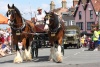 Thornbury Carnival 2011
