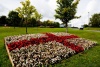 Sodbury in Bloom 2010 - photo from RichMcD
